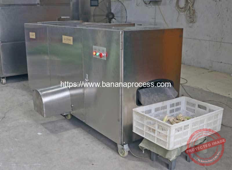 Advanced-Auto-Feeding-Green-Banana-Peeling-Machine-for-Nigeria-Customer